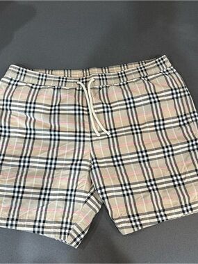 Burberry Rare Plaid Shorts Men’s Designer Swimwear Logo Trunks Summer Size L